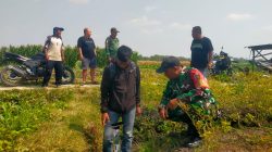 Atasi Kekeringan, Babinsa Koramil 0810/02 Bagor Gelar “Manunggal Air” Bantu Petani di Desa