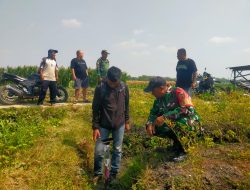 Atasi Kekeringan, Babinsa Koramil 0810/02 Bagor Gelar “Manunggal Air” Bantu Petani di Desa