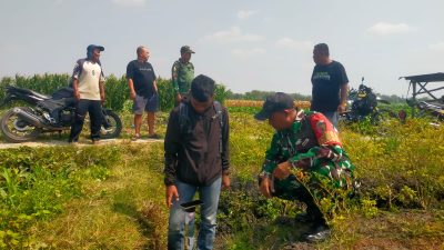 Atasi Kekeringan, Babinsa Koramil 0810/02 Bagor Gelar “Manunggal Air” Bantu Petani di Desa