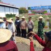 Tasyakuran Panen Bawang Merah dan Padi, Bupati Nganjuk Tekankan Peningkatan Kesejahteraan Petani