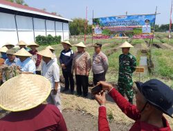 Tasyakuran Panen Bawang Merah dan Padi, Bupati Nganjuk Tekankan Peningkatan Kesejahteraan Petani