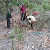 Aksi Tanggap Babinsa Berhasil Jinakkan Api di Rumpun Bambu, Sinergi TNI, polri dan Warga.