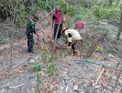 Aksi Tanggap Babinsa Berhasil Jinakkan Api di Rumpun Bambu, Sinergi TNI, polri dan Warga.