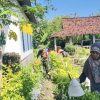 Babinsa Sumberkepuh Komsos Bersama Petani Cabai, Dukung Produktivitas Pertanian