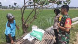 Babinsa Laksanakan Komsos Bersama Warga Dusun Tanjungrejo Desa Ngadirejo