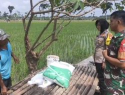 Babinsa Laksanakan Komsos Bersama Warga Dusun Tanjungrejo Desa Ngadirejo