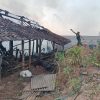 SI JAGO MERAH MENGAMUK! BABINSA TURUN TANGAN SELAMATKAN KANDANG SAPI WARGA SAWAHAN