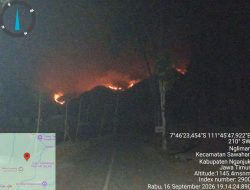 Titik Api Terlihat di Hutan Ngliman Saat Malam, Babinsa dan Perhutani Bergerak Lakukan Pemantauan