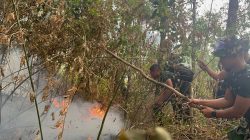 450 Personel Gabungan Bergerak! TNI-Polri dan Warga Bangun Sekat Bakar di Lereng Gunung Wilis Cegah Api Meluas