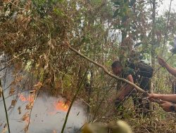 450 Personel Gabungan Bergerak! TNI-Polri dan Warga Bangun Sekat Bakar di Lereng Gunung Wilis Cegah Api Meluas