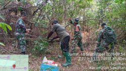 Gunung Wilis Membara! 331 Personel Gabungan Berjibaku Jinakkan Karhutla di Puncak Ngliman