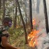 Lereng Wilis Terancam Api, 450 Personel Gabungan Turun Tangan Bangun Sekat Bakar