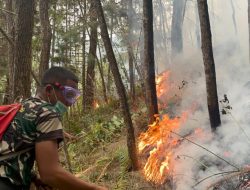 Lereng Wilis Terancam Api, 450 Personel Gabungan Turun Tangan Bangun Sekat Bakar