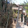Untuk Menunjang Kelancaran Pembangunan Jembatan Garuda, Babinsa Desa Talun Bersama Warga Laksanakan Pembersihan Rumpun Bambu