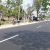 Sambut HUT ke-81 TNI, Koramil Rejoso dan Warga Tanam Mahoni, Hijaukan Jalan Provinsi untuk Masa Depan