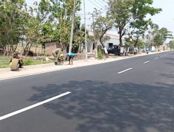 Sambut HUT ke-81 TNI, Koramil Rejoso dan Warga Tanam Mahoni, Hijaukan Jalan Provinsi untuk Masa Depan