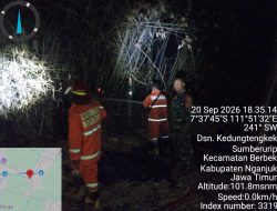 Api Membesar Saat Angin Kencang, Babinsa dan Damkar Berjibaku Padamkan Rumpun Bambu di Berbek