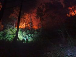 GERAK CEPAT BABINSA BERSAMA PETUGAS GABUNGAN PADAMKAN KARHUTLA DI KAWASAN HUTAN LINDUNG NGETOS