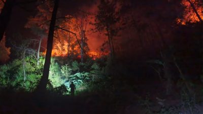 GERAK CEPAT BABINSA BERSAMA PETUGAS GABUNGAN PADAMKAN KARHUTLA DI KAWASAN HUTAN LINDUNG NGETOS