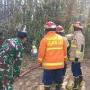 Membakar Sampah Berujung Petaka! Rumpun Bambu Warga Joho Dilalap Api, Babinsa dan Damkar Bergerak Cepat