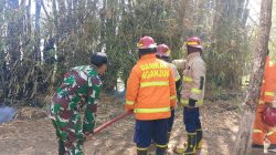 Membakar Sampah Berujung Petaka! Rumpun Bambu Warga Joho Dilalap Api, Babinsa dan Damkar Bergerak Cepat