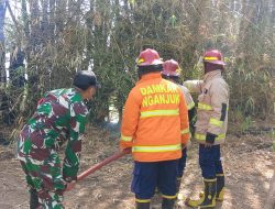 Membakar Sampah Berujung Petaka! Rumpun Bambu Warga Joho Dilalap Api, Babinsa dan Damkar Bergerak Cepat