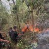 GERAK CEPAT YONIF TP 933/MACAN WILIS BERSAMA UNSUR GABUNGAN TANGANI KARHUTLA DI KAWASAN GUNUNG WILIS