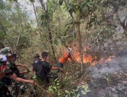 GERAK CEPAT YONIF TP 933/MACAN WILIS BERSAMA UNSUR GABUNGAN TANGANI KARHUTLA DI KAWASAN GUNUNG WILIS