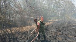 Api Membesar di Rumpun Bambu, Babinsa Baron dan Damkar Berjibaku Padamkan Kebakaran