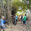 Antisipasi Kebakaran di Musim Kemarau, Babinsa Koramil 0810/15 Rejoso Bersama Masyarakat Kerja Bakti Tebang Rumpun Bambu di Wilayah Binaan
