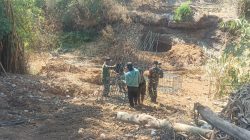Jembatan Perintis Garuda Mulai Dirakit, TNI dan Warga Bersatu Buka Akses Menuju Kemajuan