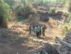 Jembatan Perintis Garuda Mulai Dirakit, TNI dan Warga Bersatu Buka Akses Menuju Kemajuan