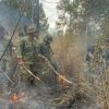 PERSONEL YONIF TP 933/MACAN WILIS LAKSANAKAN PEMADAMAN DARURAT DI KAWASAN GUNUNG WILIS, KABUPATEN NGANJUK