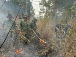 PERSONEL YONIF TP 933/MACAN WILIS LAKSANAKAN PEMADAMAN DARURAT DI KAWASAN GUNUNG WILIS, KABUPATEN NGANJUK