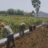 Pererat Kemanunggalan TNI dan Rakyat, Babinsa Koramil 0810/02 Bagor Bersama Warga Gotong Royong di Desa Girirejo