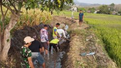 Antisipasi Musim Penghujan, Babinsa Koramil 0810/15 Rejoso Bersama Warga Normalisasi Saluran Irigasi di Desa Tritik