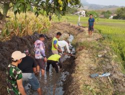 Antisipasi Musim Penghujan, Babinsa Koramil 0810/15 Rejoso Bersama Warga Normalisasi Saluran Irigasi di Desa Tritik