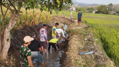 Antisipasi Musim Penghujan, Babinsa Koramil 0810/15 Rejoso Bersama Warga Normalisasi Saluran Irigasi di Desa Tritik
