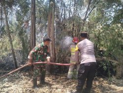 Cegah Api Meluas, Babinsa Koramil 0810/15 Rejoso Bantu Damkar Padamkan Kebakaran Rumpun Bambu di Wilayah Binaan