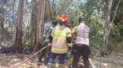 Api Mengganas di Rumpun Bambu, Babinsa Rejoso Bersama Damkar Bergerak Cepat Cegah Kebakaran Meluas