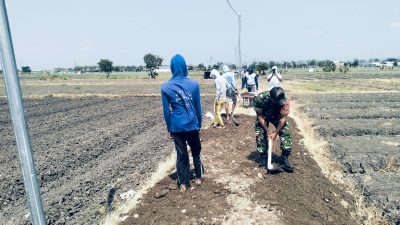 PEDULI AKSES PERTANIAN, BABINSA KORAMIL 0810/15 REJOSO BERSAMA WARGA KERJA BAKTI URUK JALAN USAHA TANI