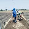 Babinsa Rejoso Bersama Warga Gotong Royong Perbaiki Jalan Usaha Tani, Dukung Produktivitas Petani