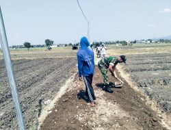 Babinsa Rejoso Bersama Warga Gotong Royong Perbaiki Jalan Usaha Tani, Dukung Produktivitas Petani