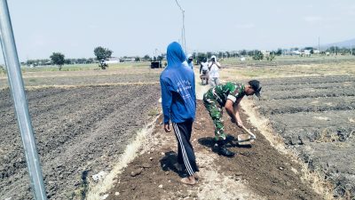 Babinsa Rejoso Bersama Warga Gotong Royong Perbaiki Jalan Usaha Tani, Dukung Produktivitas Petani