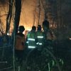 Kebakaran Kebun Jati di Loceret, Dua Unit Damkar Dikerahkan! Babinsa dan Bhabinkamtibmas Bergerak Bersama Warga