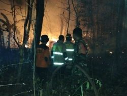 Kebakaran Kebun Jati di Loceret, Dua Unit Damkar Dikerahkan! Babinsa dan Bhabinkamtibmas Bergerak Bersama Warga