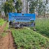 Dandim 0810/Nganjuk Ikuti Vicon Kesiapan Launching Kompi Produksi TA 2026