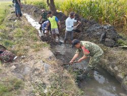 Menjelang Musim Penghujan, Babinsa Koramil 0810/15 Rejoso Laksanakan Kerja Bakti Normalisasi Saluran Irigasi di Wilayah Binaan