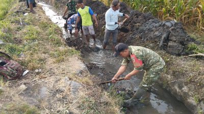 Menjelang Musim Penghujan, Babinsa Koramil 0810/15 Rejoso Laksanakan Kerja Bakti Normalisasi Saluran Irigasi di Wilayah Binaan
